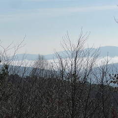 24-02-29 11-12-25 00bf